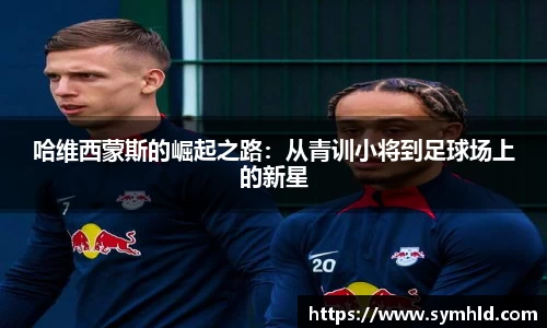 米兰体育